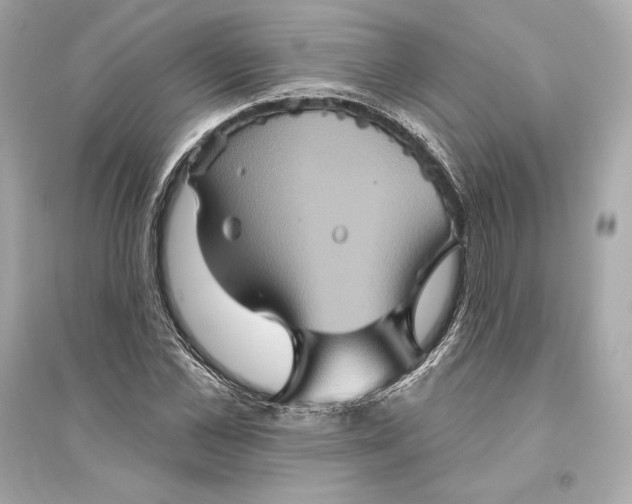 X0000094810973200711301548