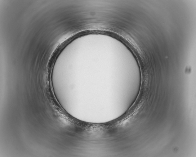 X0000094810974200711301548