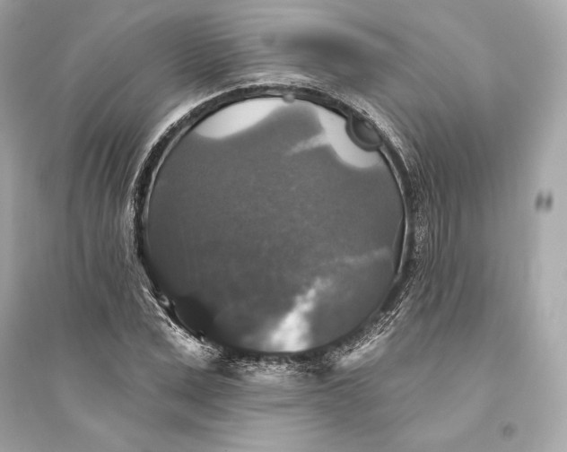 X0000094810975200711301548