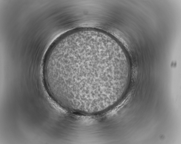 X0000094810976200711301548