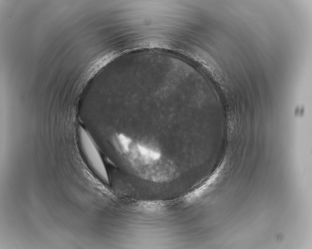 X0000094810977200711301548