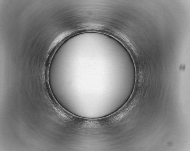 X0000094810978200711301548