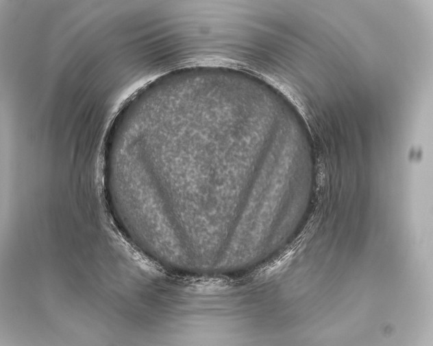 X0000094810979200711301548