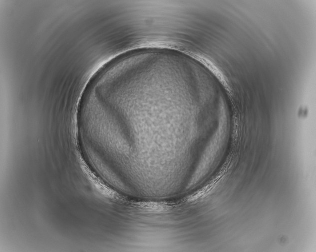 X0000094810980200711301548