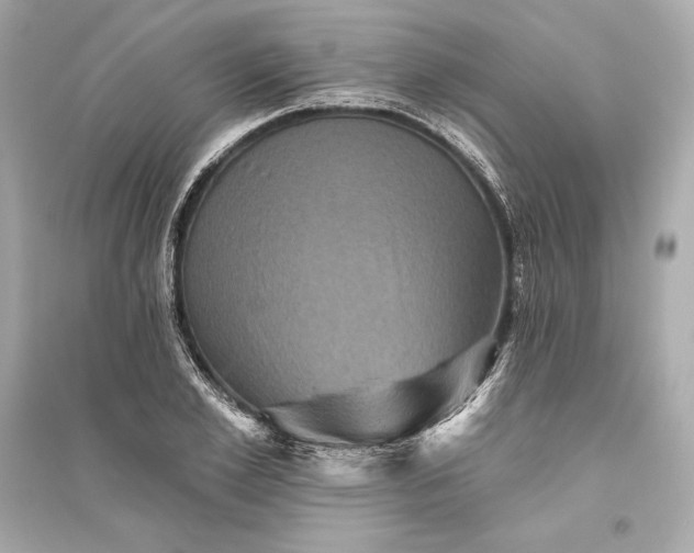 X0000094810981200711301548