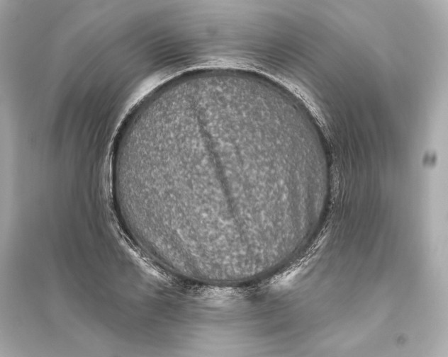 X0000094810982200711301548