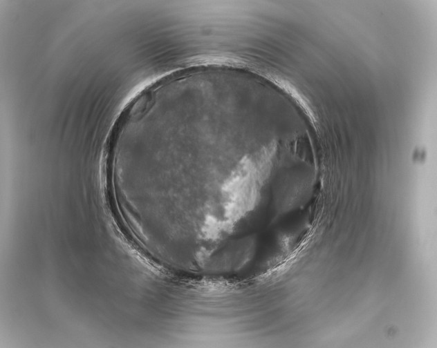 X0000094810983200711301548