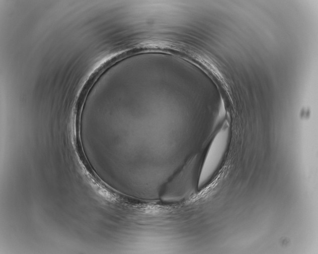 X0000094810984200711301547