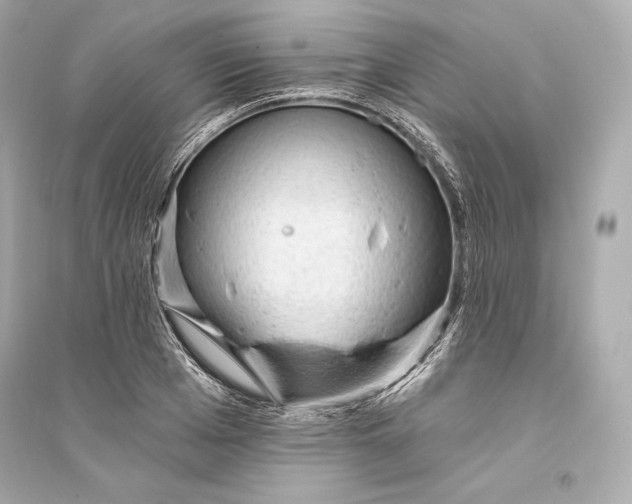 X0000094810985200711301547