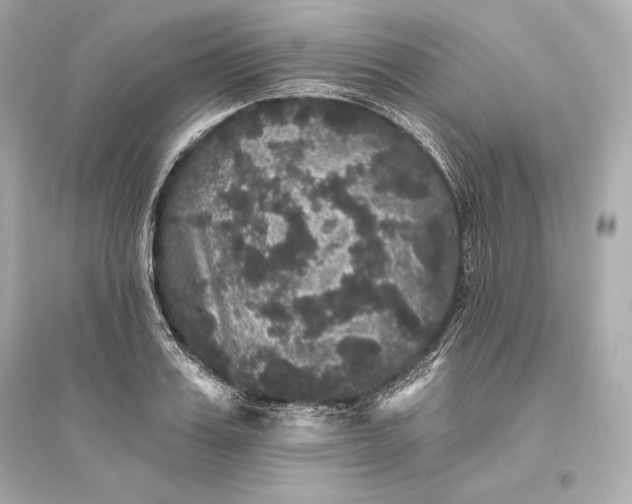 X0000094810987200711301547