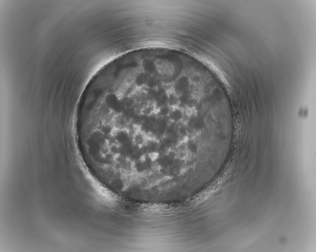 X0000094810991200711301547