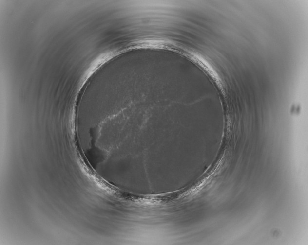 X0000094810994200711301547