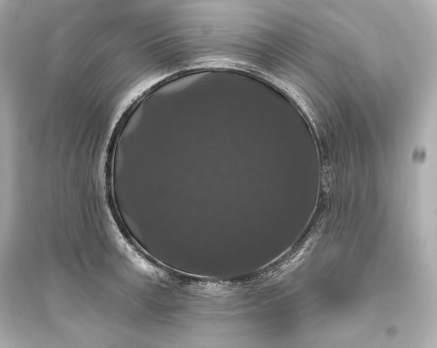 X0000094810995200711301547