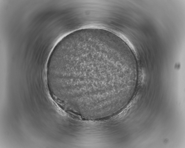 X0000094810996200711301547