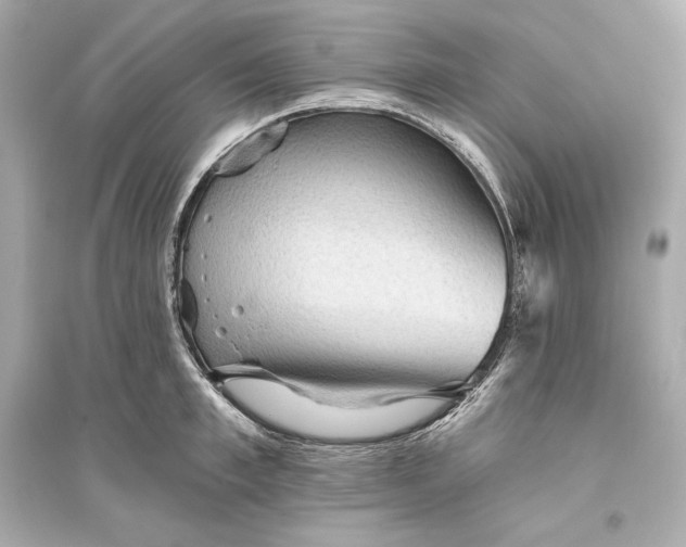 X0000094810997200711301547