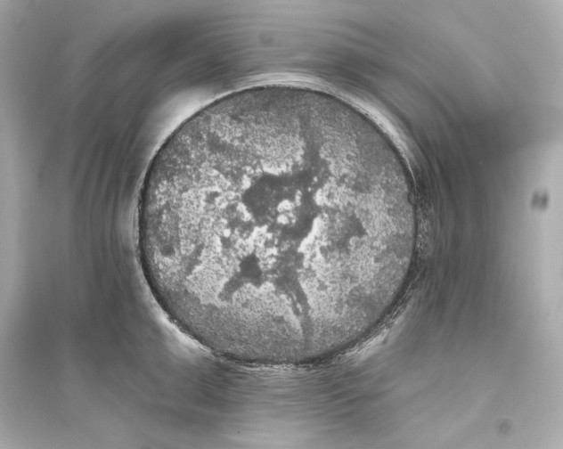 X0000094810999200711301547