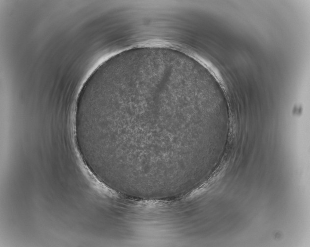 X0000094811000200711301547