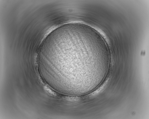 X0000094811001200711301547