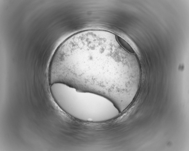 X0000094811004200711301547