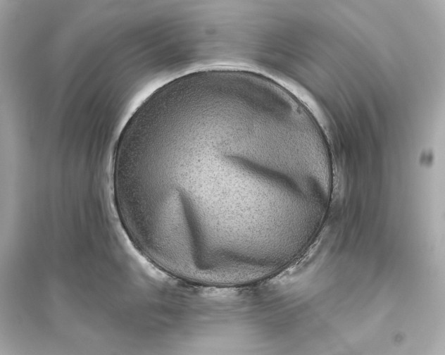 X0000094811006200711301547