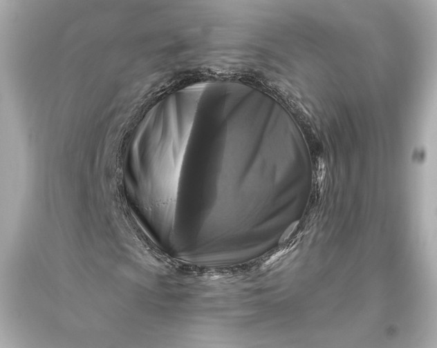 X0000094811009200711301546