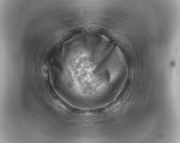 X0000094811010200711301547