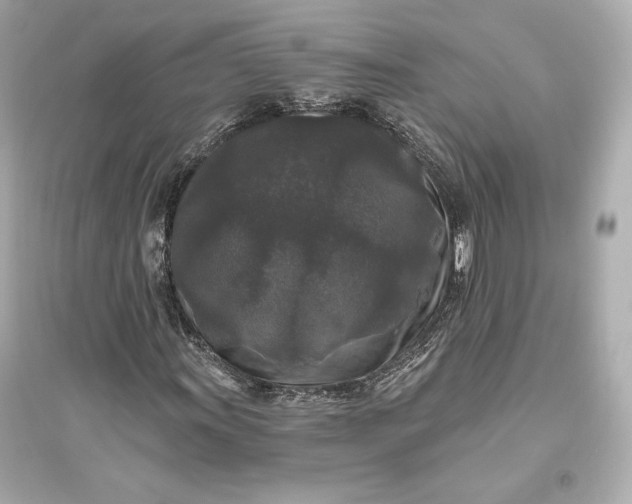 X0000094811011200711301547