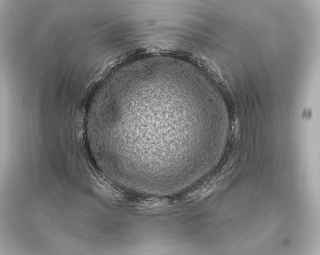 X0000094811012200711301547