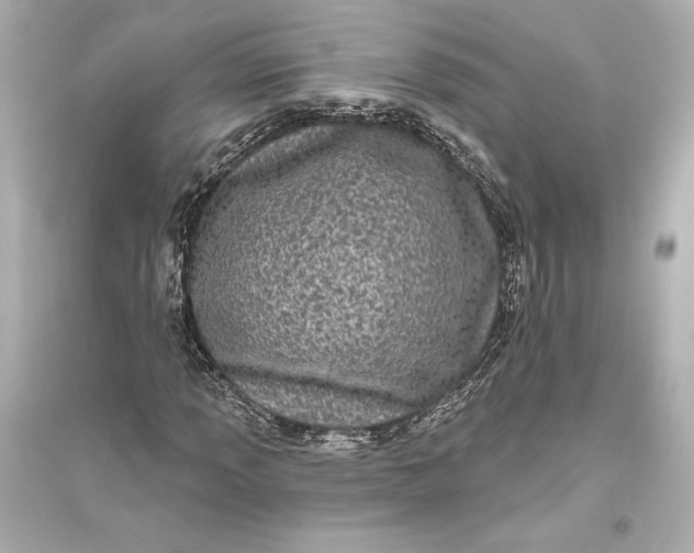 X0000094811013200711301547