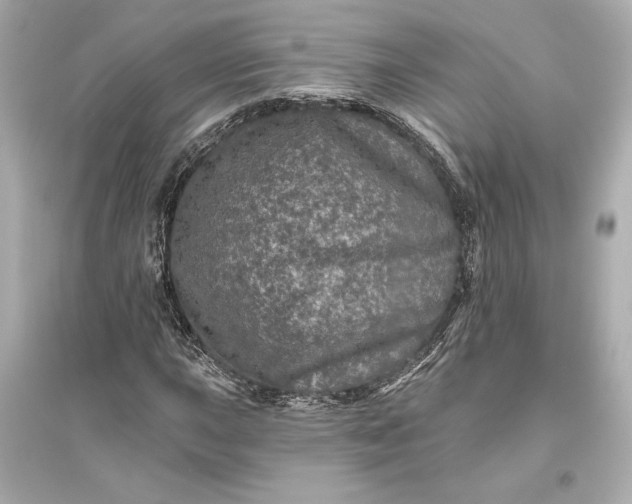 X0000094811015200711301547