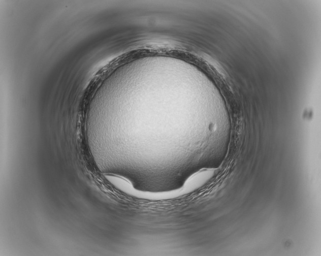 X0000094811016200711301547