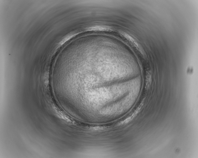 X0000094811017200711301547