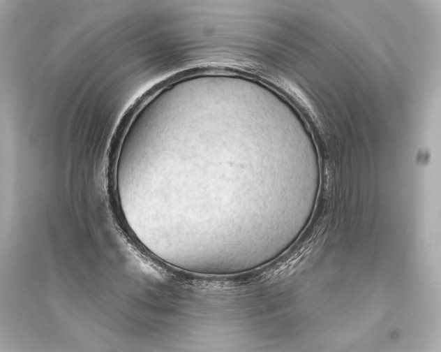 X0000094811020200711301547