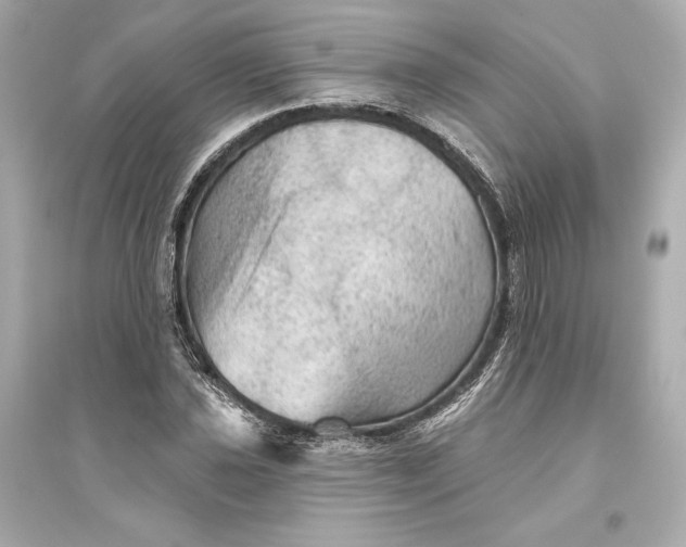 X0000094811021200711301547