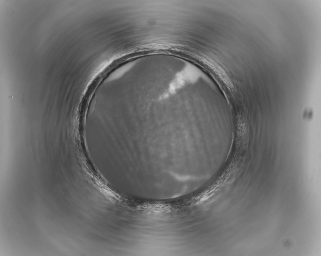 X0000094811023200711301547