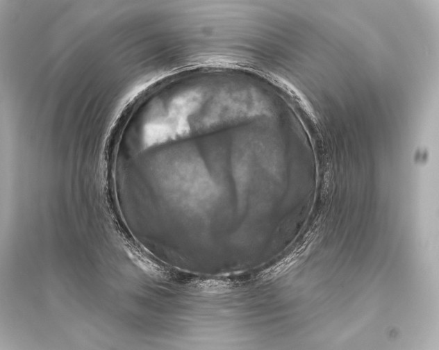 X0000094811027200711301547