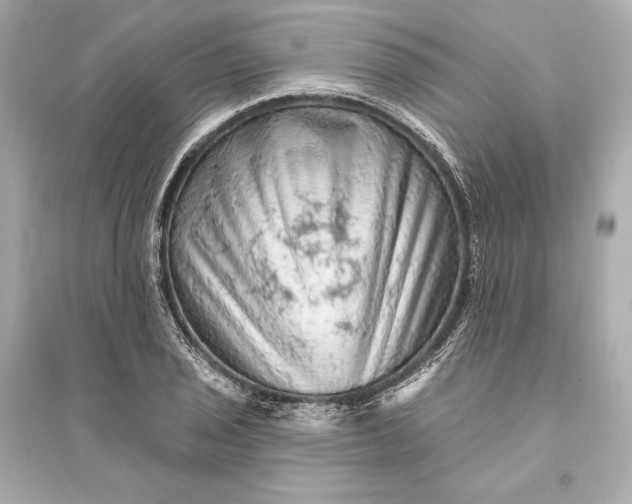 X0000094811029200711301547