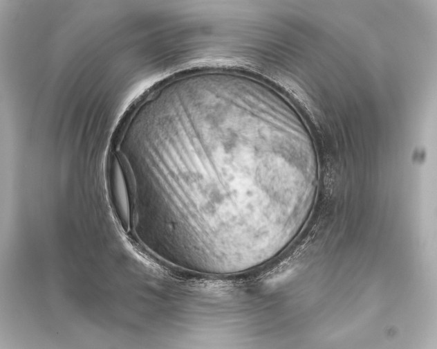 X0000094811030200711301547