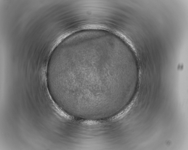 X0000094811033200711301547