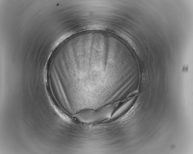 X0000094811034200711301547