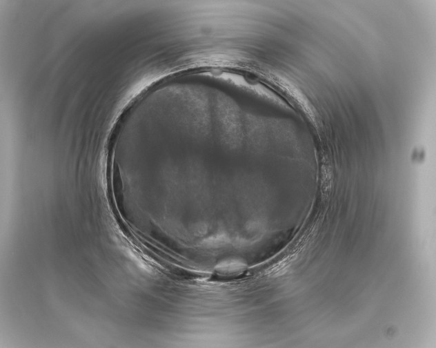 X0000094811035200711301547