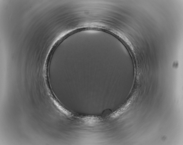 X0000094811037200711301547