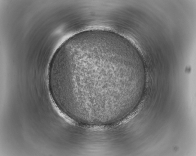 X0000094811038200711301547