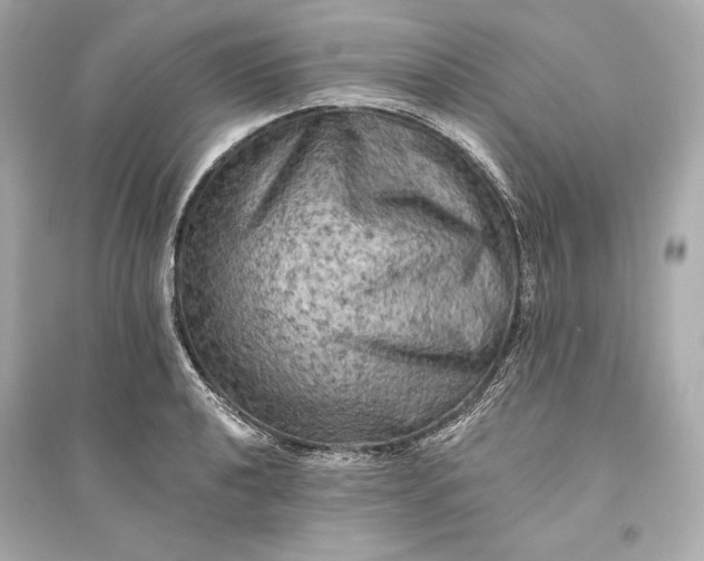 X0000094811040200711301547