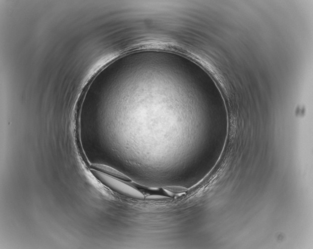 X0000094811042200711301547