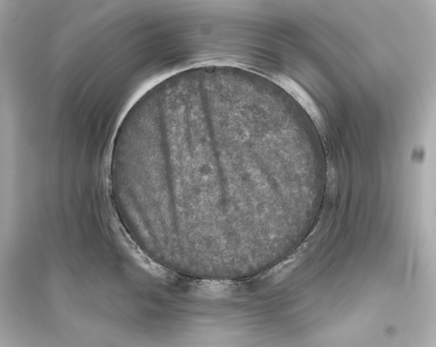 X0000094811052200711301547