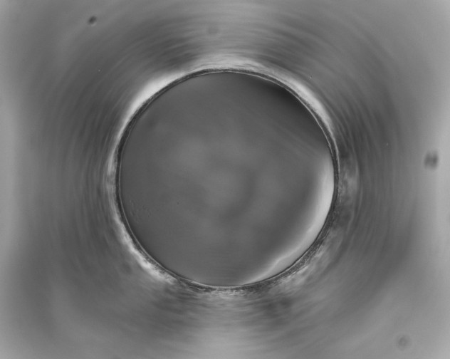 X0000094811053200711301547