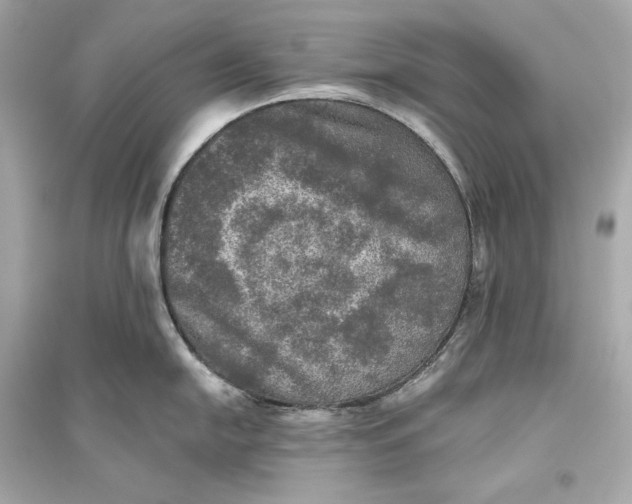 X0000094811054200711301547