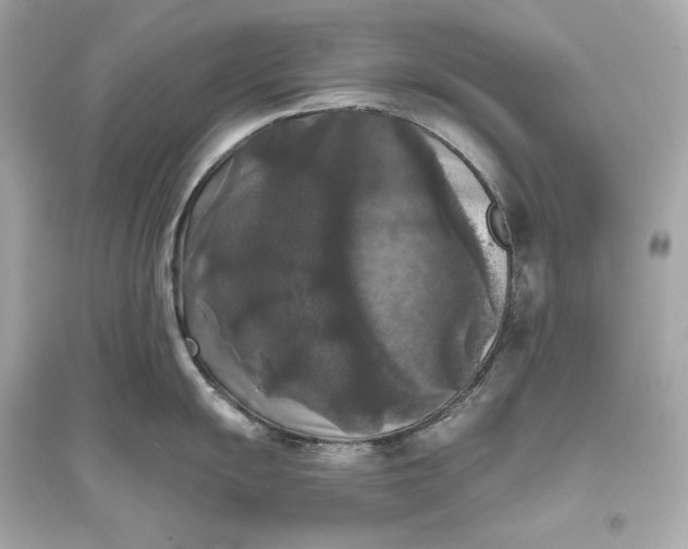 X0000094811055200711301547