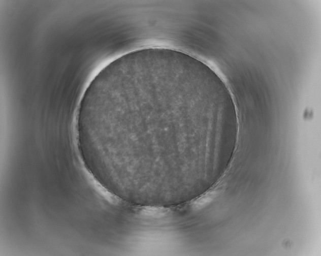 X0000094811056200711301547